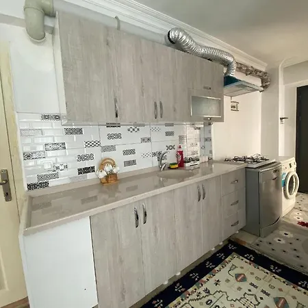 Apartment Palm 2+1 *