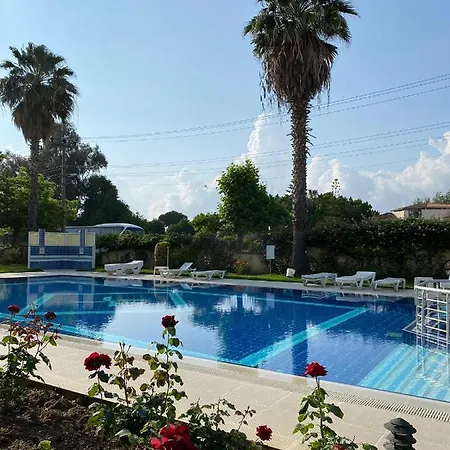 Apartment Palm 2+1